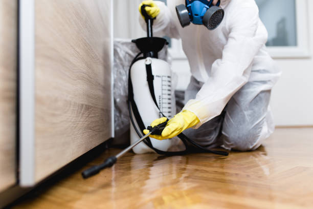 Insect Control in Mount Pleasant, SC