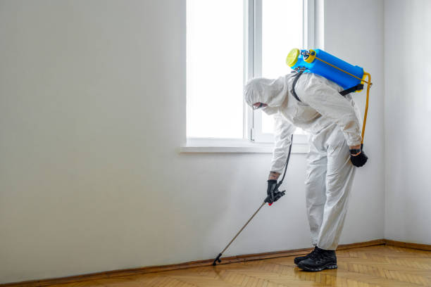 Best Affordable Pest Control Services  in Mount Pleasant, SC