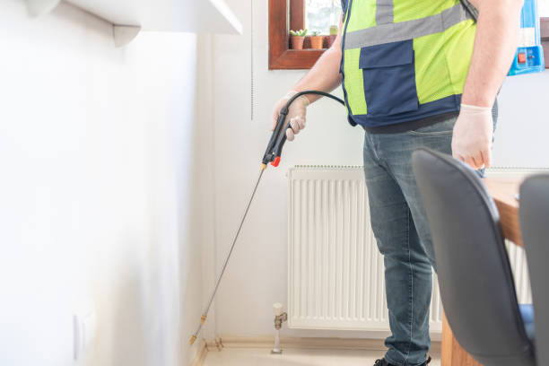 Best Local Pest Control Services  in Mount Pleasant, SC