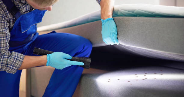 Best Pest Control Treatment  in Mount Pleasant, SC