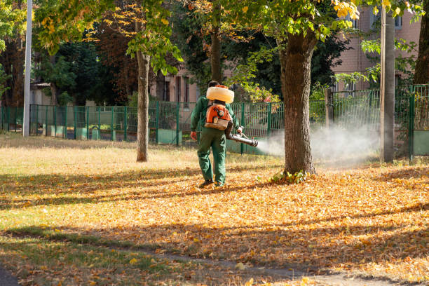 Mount Pleasant, SC Pest Control Company