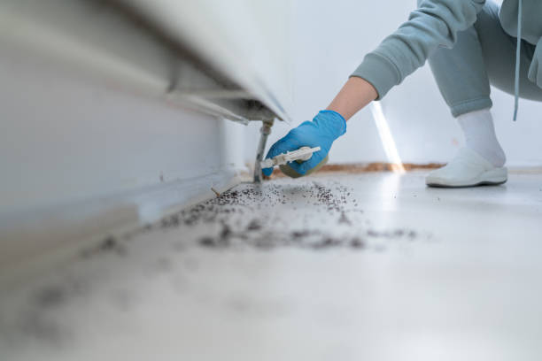  Mount Pleasant, SC Pest Control Pros